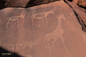 Rock encravings at Twyfelfontein