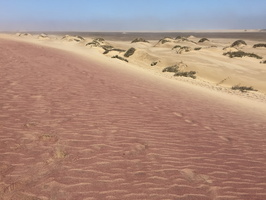 Road to Sandwich Harbor