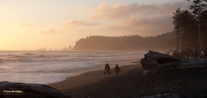 Rialto Beach at sunset - Click to zoom !