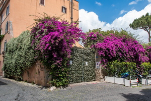 Across Trastevere