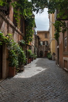 Streets of Trastevere