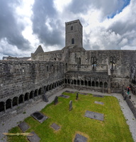 Sligo Abbey
