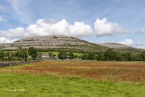 Landscapes of the Burren