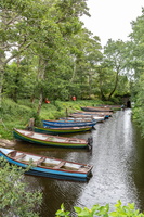 Ross Castle - Kilarney National Park