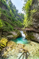 Vintgar Gorges