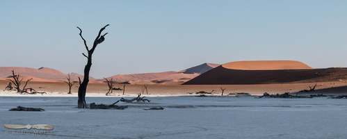Deadvlei - Namib-Naukluft National Park - Namibia -2015