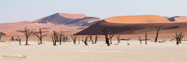 Deadvlei & Dunes - Namib-Naukluft National Park - Namibia -2015