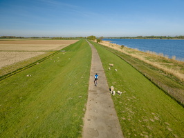 Banks of the Amer, near Drimmelen