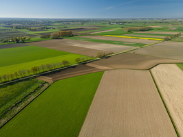 Banks of the Amer, near Drimmelen
