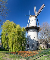 De Drie Koornbloemen