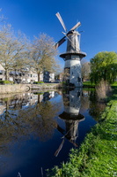 De Drie Koornbloemen