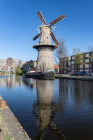 Molen de Palmboom