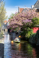 Kayaking in Delft