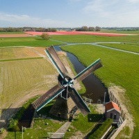 DJI 0308